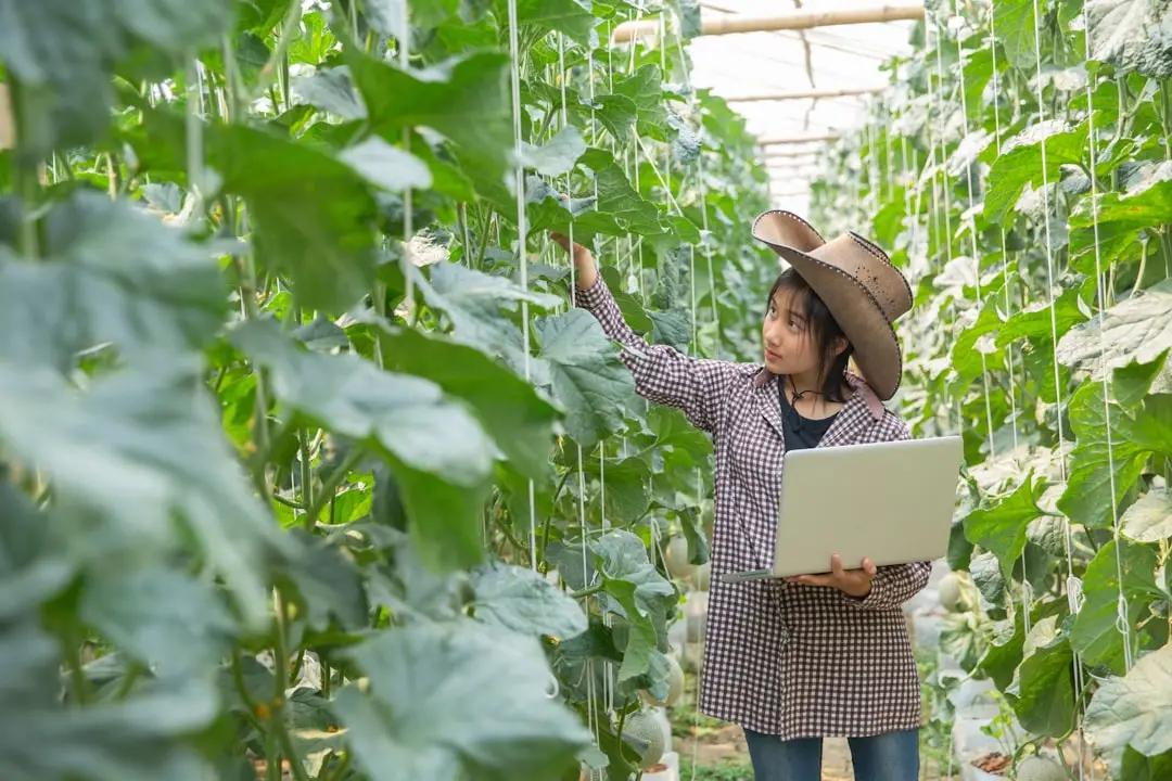 2025年四川有机肥料市场行情与华益嘉德复合肥价格走势观察正文配图 2